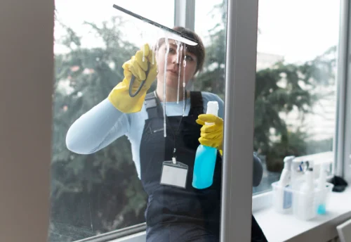 Nettoyage de vitres intérieures et extérieures au Lesme